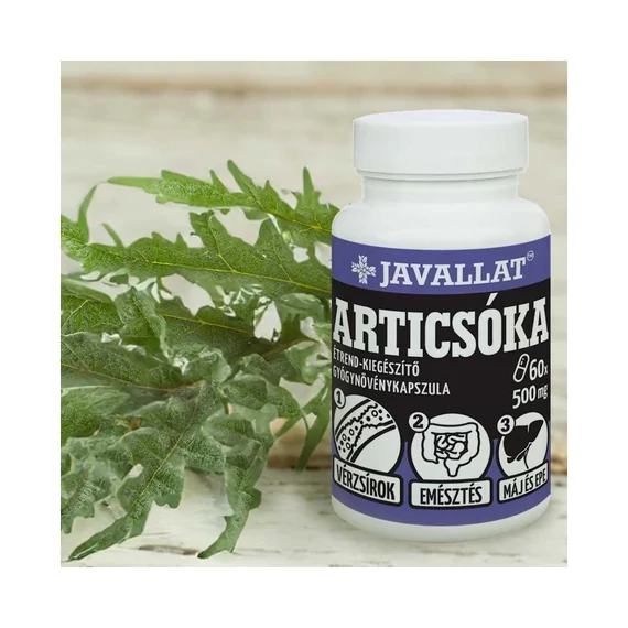 Articsóka kapszula 60db