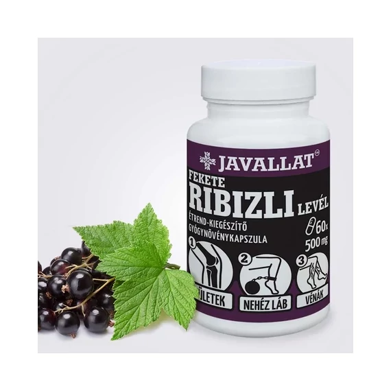 Fekete ribizli levél kapszula 60db