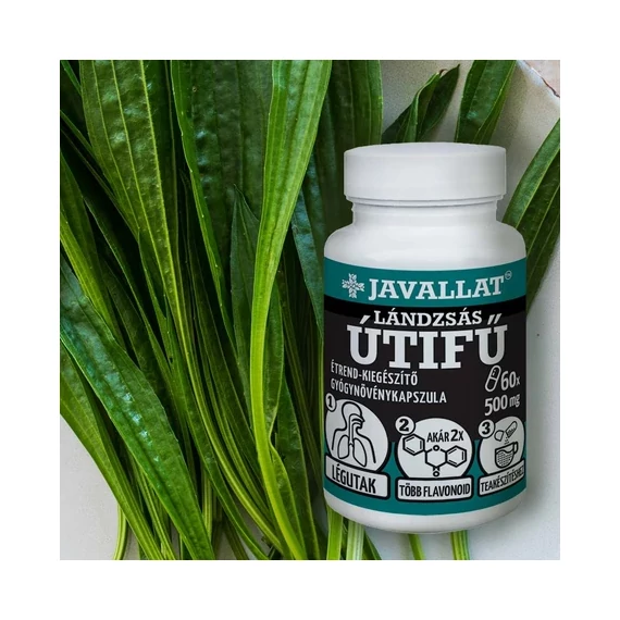 Lándzsás útifű kapszula 60db