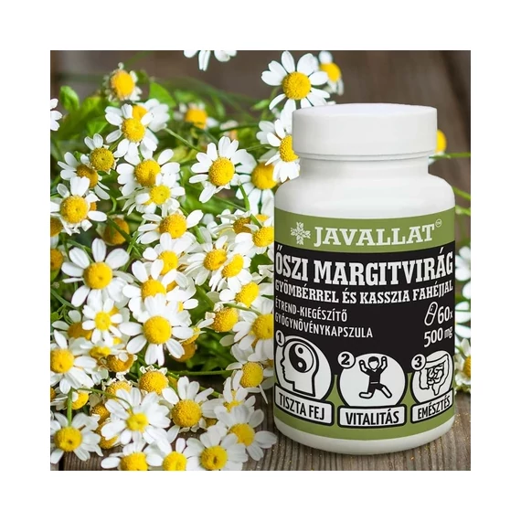 Őszi margitvirág gyömbérrel és kasszia fahéjjal kapszula 60db