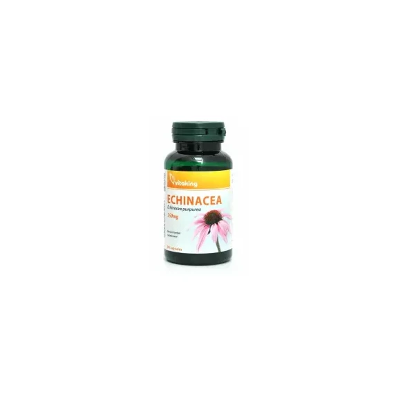 Vitaking Echinacea 250 mg Bíbor kasvirág 90 db kapszula